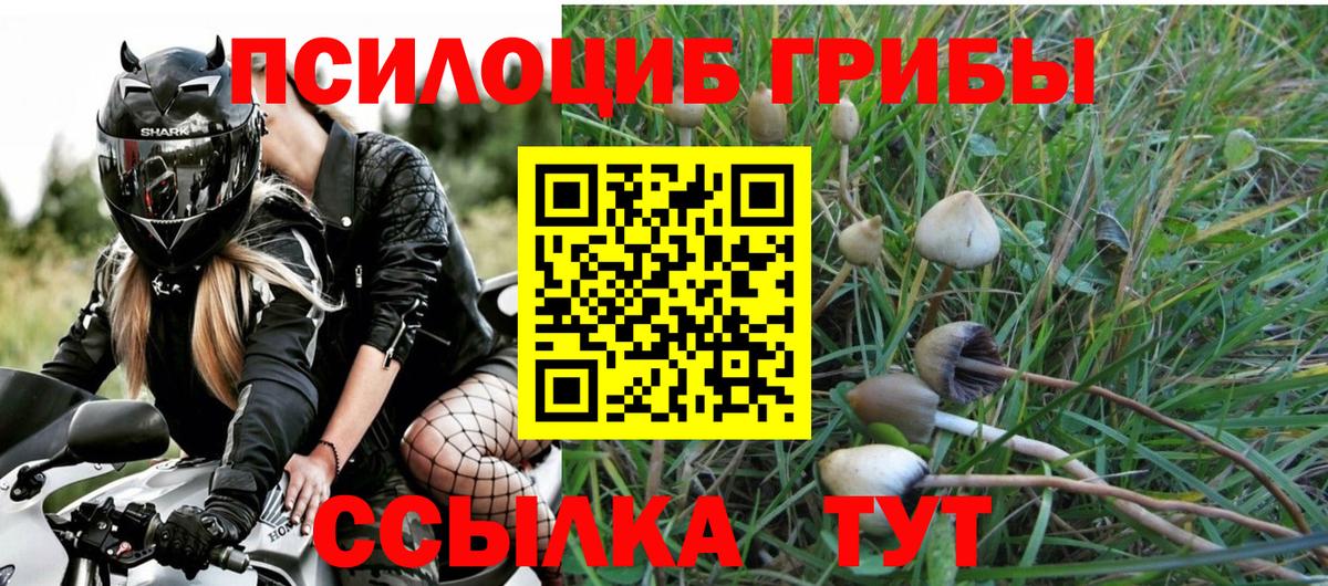 даркнет сайт  Вход с VPN  Сокол  Галлюциногенные грибы ЛСД 